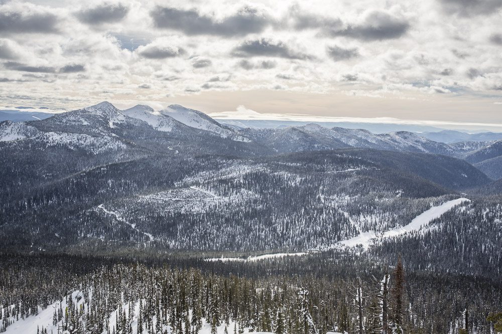 Home range of the Southern Selkirks Herd of mountain caribou along the border of Washington, Idaho and British Columbia. This herd, the last to cross back and forth between Canada and the United States, is down to less than 20 animals.