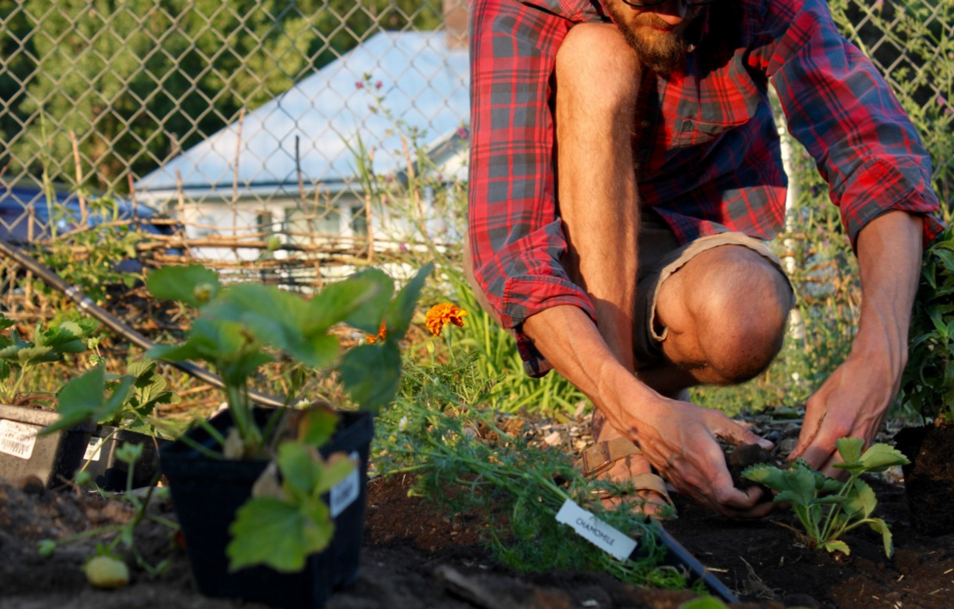 black people gardening