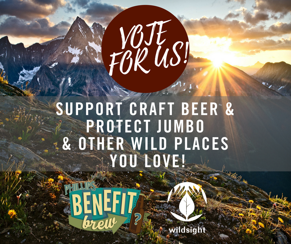 benefit-brew