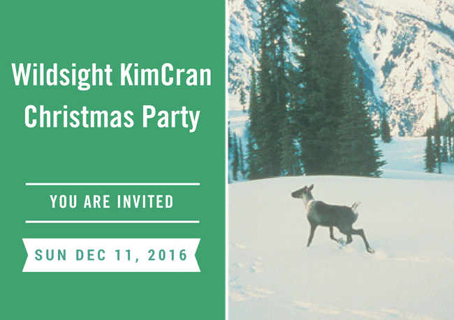 wildsight-kimcran-christmas-party