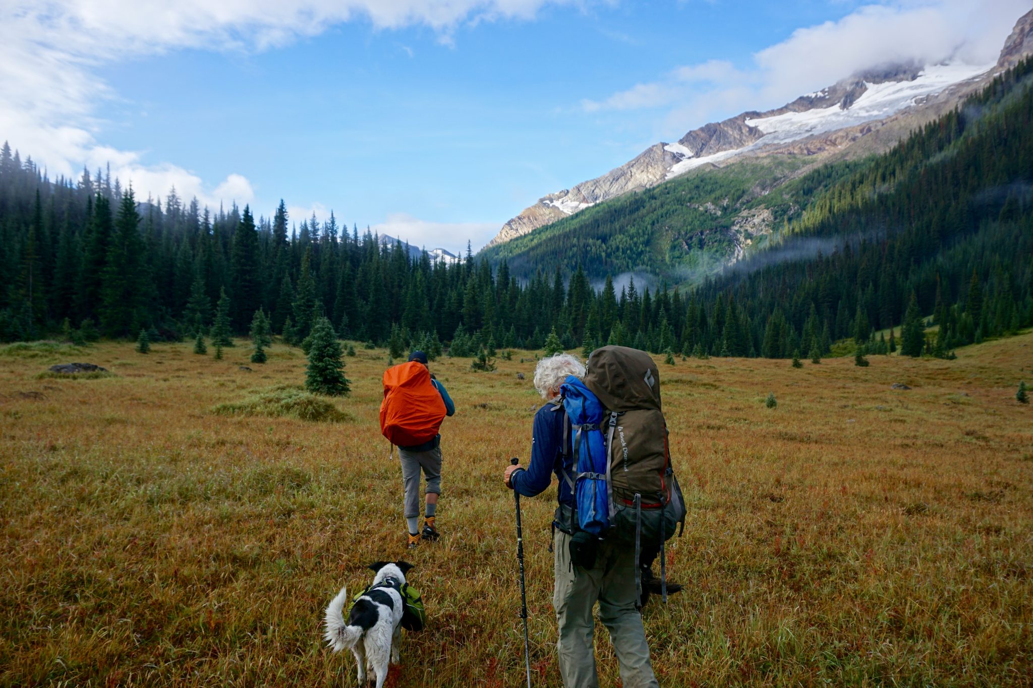 Nature Walk Changing Colours at Stagleap Provincial Park Wildsight