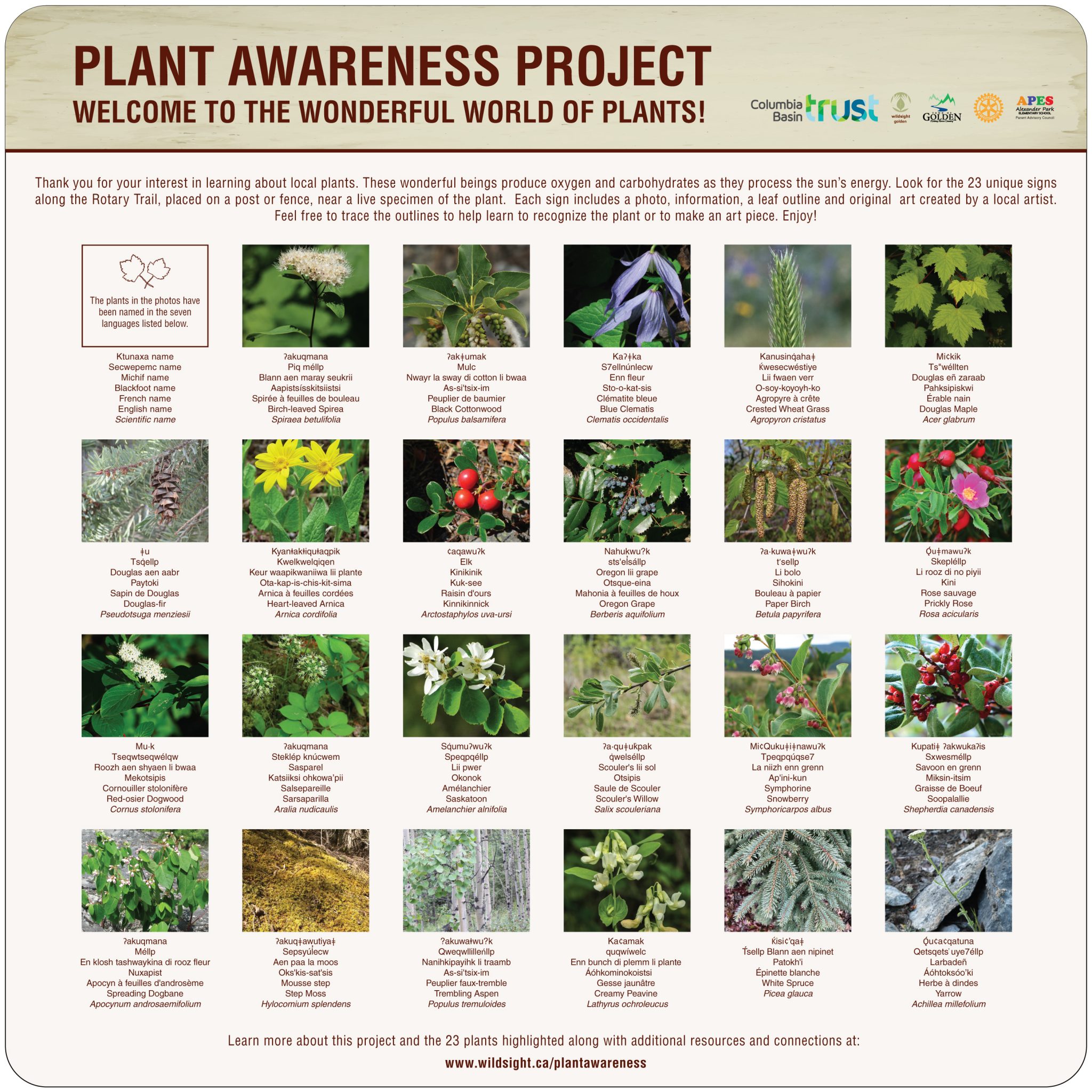 Plant Awareness Project – Wildsight