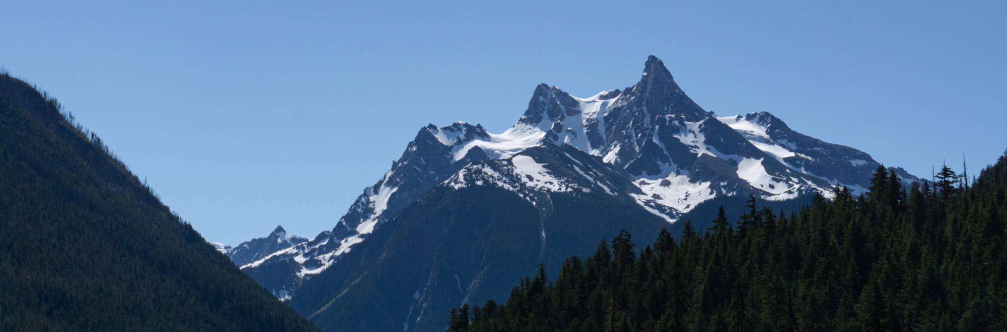 Argonaut old growth is still on the chopping block