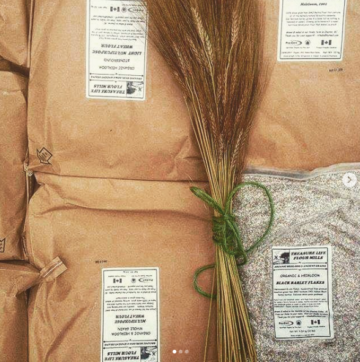 Treasure Life Flour Mills – Wildsight