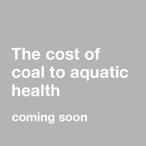 text: coming soon, the cost of coal to aquatic health