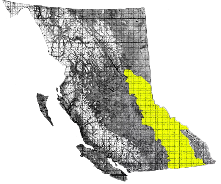 black and white map of BC, with the ITR area highlighted in the southeastern quarter