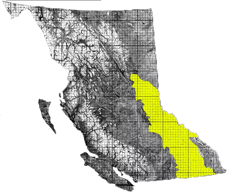 black and white map of BC, with the ITR area highlighted in the southeastern quarter