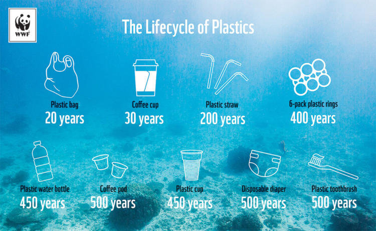 The History of Plasticware