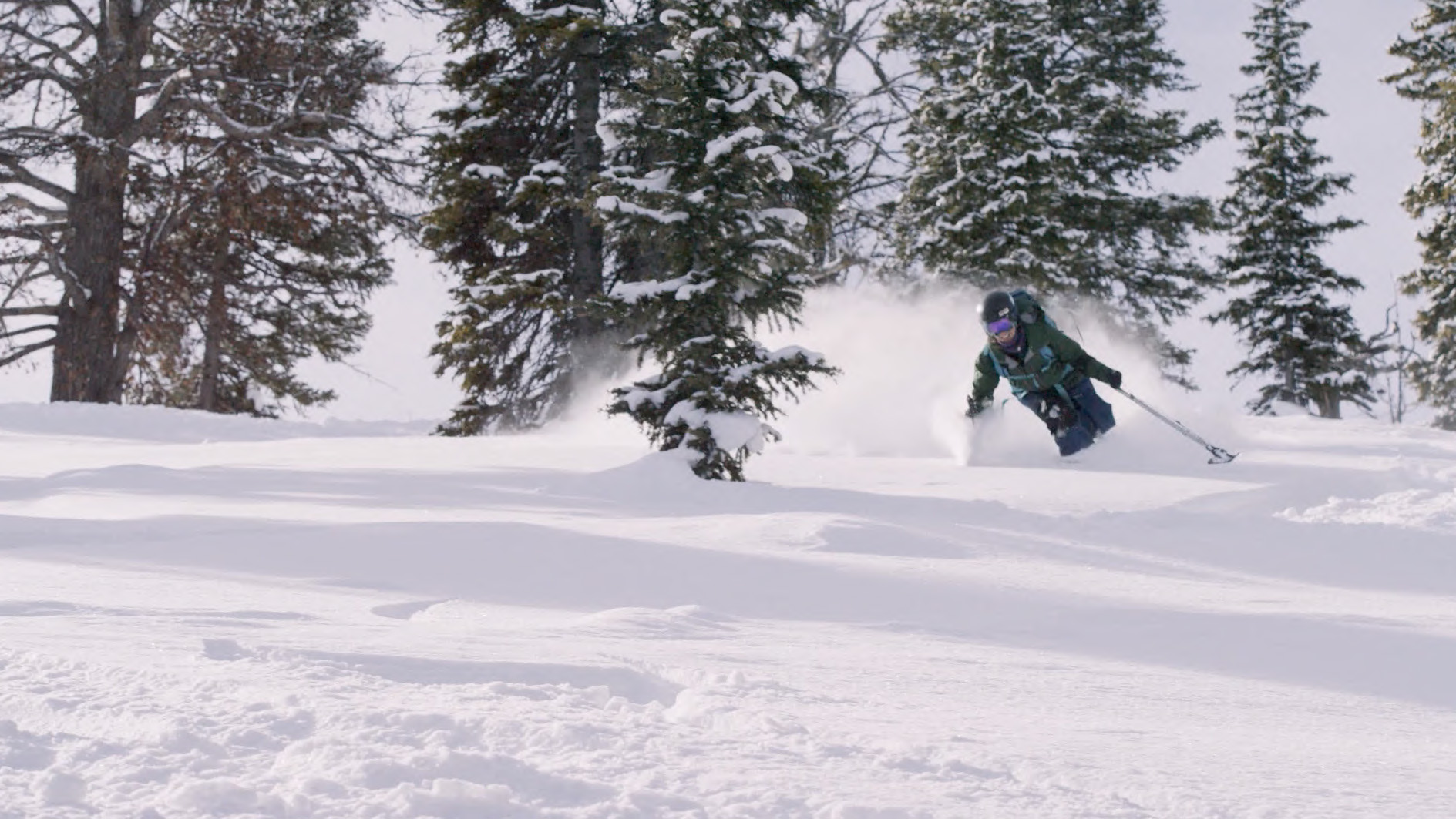 Backcountry Film Festival Wildsight