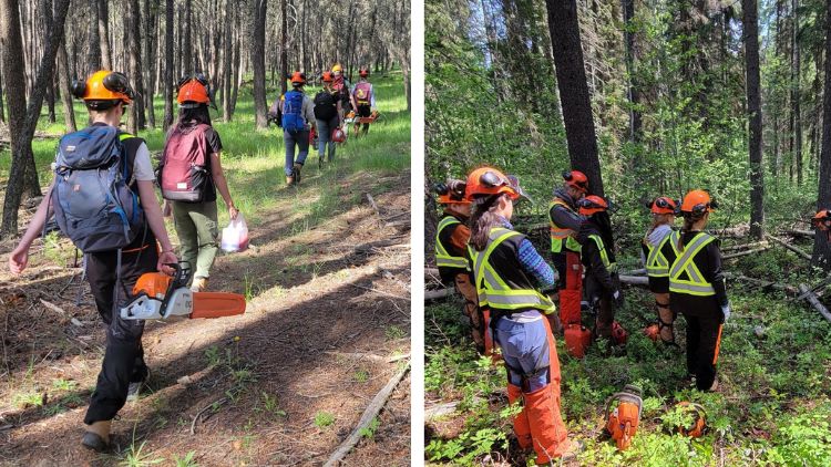 Tuesdays in the Field - Keystone Species, February 14, 2023