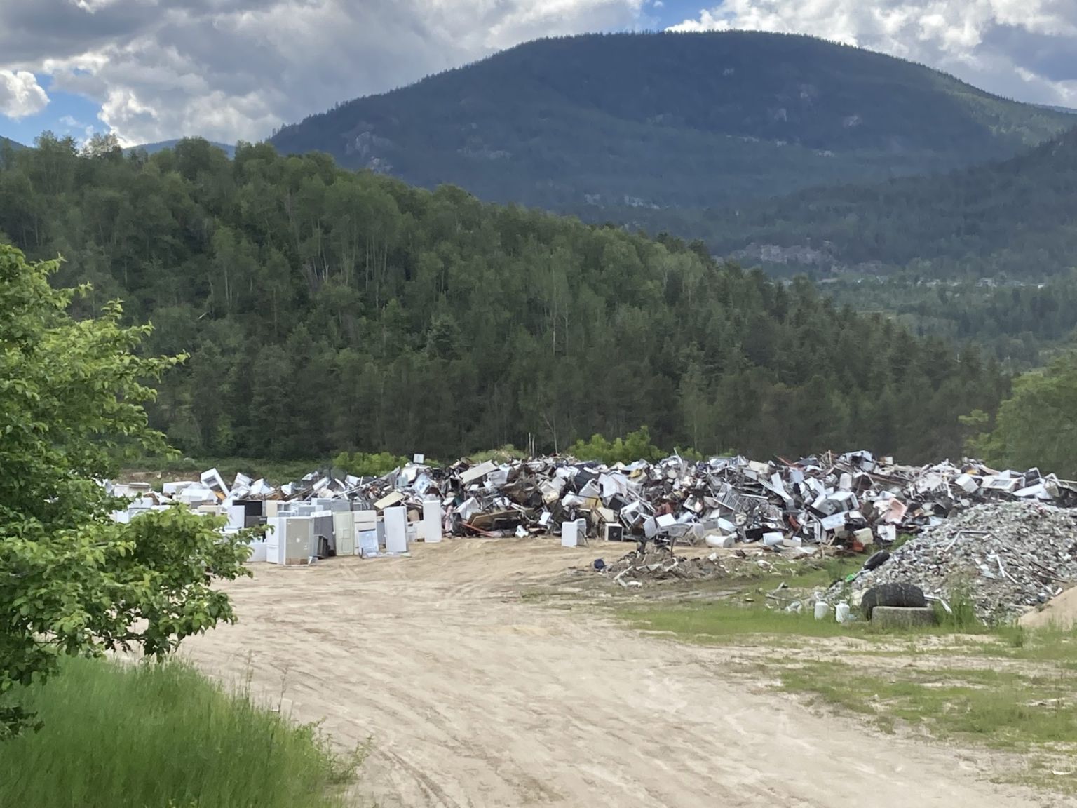 YCC investigates waste and wants Wildsight