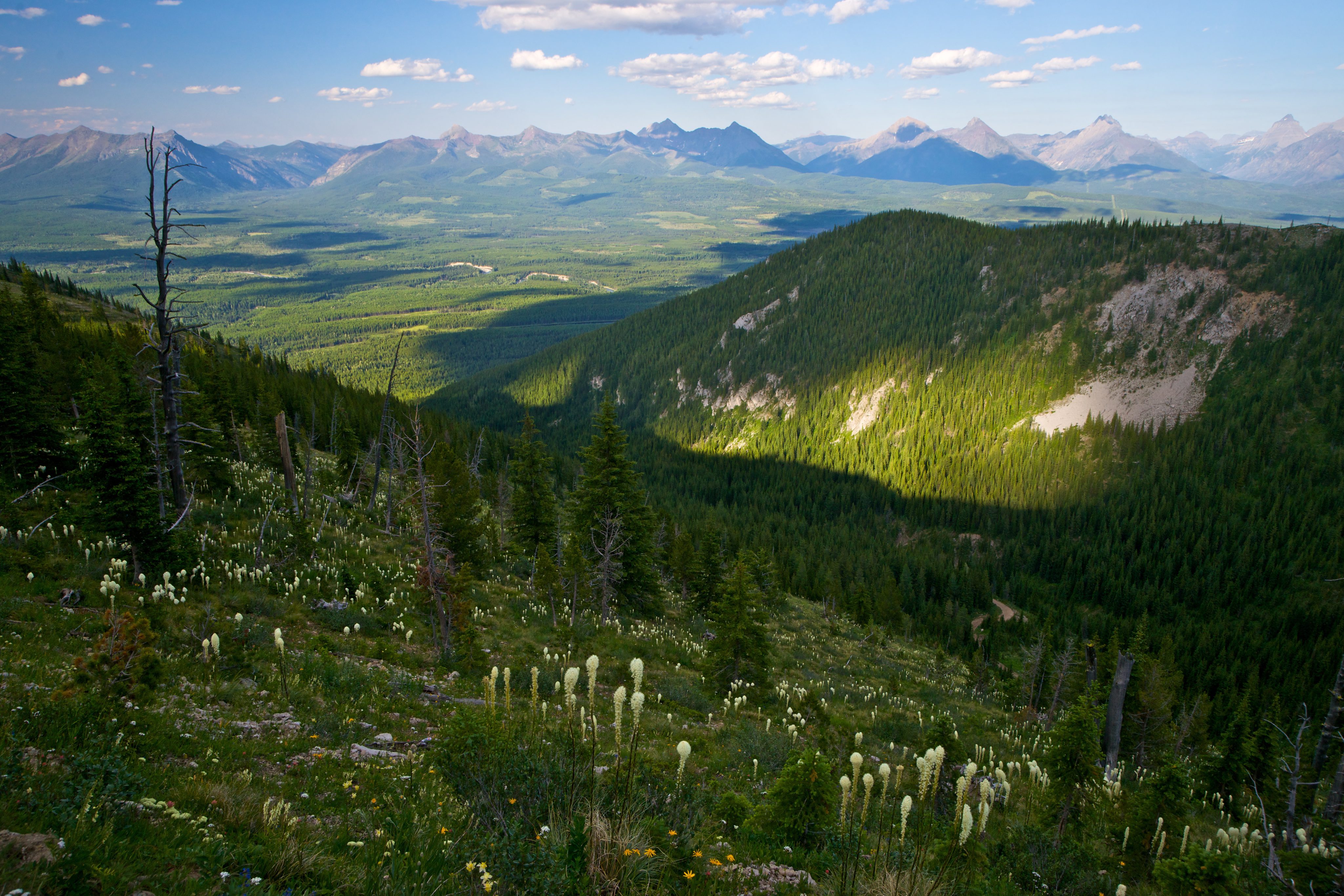 Flathead Valley from Mount Hefty, British Columbia, Canada