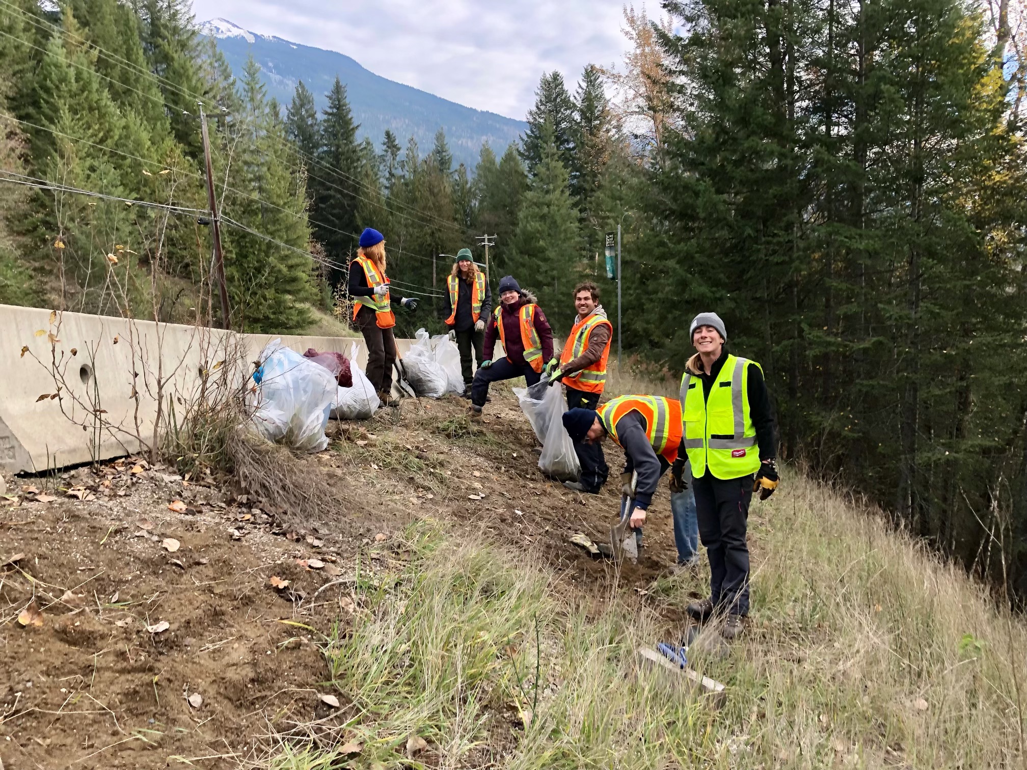 Youth restore turtle habitat