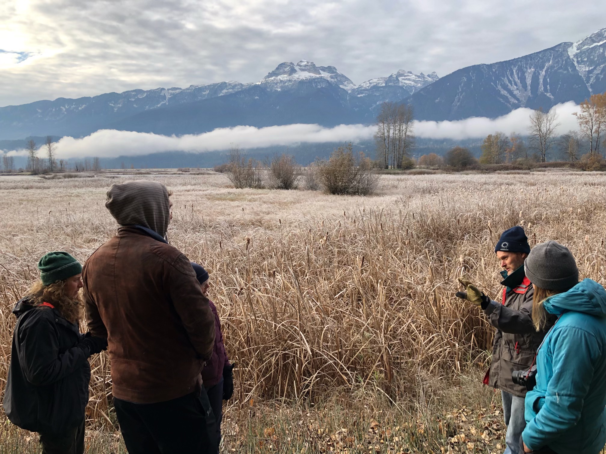 Turtle habitat restoration in Revelstoke